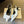 Celine Signature Slingback 5cm White Lambskin 619636