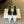 Celine Signature Slingback 5cm White Lambskin 619636