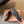 Miu 26s Lace-up Leather Shoes Coffee Sheepskin 726836