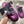 PRA 26S Mule Sneaker Purple Suede Canvas