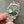 Rolex Datejust 41mm Steel Khaki Dial