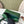 Extra Pocket L19 Teal Green Alligator Pattern Leather SHW