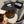 Chanel Sunglasses 02
