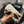 Chanel Sunglasses 16