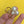 F PEARL GOLD RING