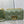 MEDIUM CARO BAG 25 GREEN MACROCANNAGE CALFSKIN