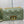 MEDIUM CARO BAG 25 GREEN MACROCANNAGE CALFSKIN