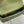MEDIUM CARO BAG 25 GREEN MACROCANNAGE CALFSKIN