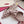 Valentin Vlogo Signature Slingback Rose Cannelle Calfskin