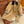 Miumiu Jacket Beige mix Dark Brown Cotton Wool