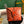 BOEING TOILERY 25CM ORANGE GOYARDINE CANVAS AND CALFSKIN TRIM