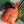 BOEING TOILERY 25CM ORANGE GOYARDINE CANVAS AND CALFSKIN TRIM