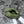 BV MINI JODIE 28CM MATCHA GREEN LAMBSKIN LEATHER
