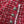 CC 25 Pink and Black Woven Trim Red Wool Jacket Skirt Pants Set