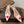 Alaia Daisy Mules 55mm Cowhide Clear PVC 889945