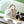CC 26 Pouch Large 32cm White Tortoiseshell Lambskin