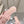 LV Isola Flat Mule Pink Calfskin