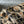 CC Bag 32cm Leopard Print Grosgrain Tweed