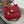 DB My Sicily Bag 21cm Red Calfskin