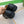 GG INTERLOCKING G MOCCASINS