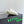 BV Small Dustbag Ivory Calfskin