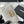 CC 19 Zipped Coin Purse Lambskin
