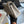 flap bag medium 25 grey caviar ghw
