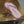 CC 25 Thong Sandal Braided Striped Pink White