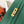Kelly Long Wallet 20cm Dark Green Epsom Leather