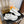 LV RUN 55 SNEAKER WHITE