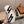HM Men's Sneaker Sheepskin 605898