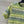 Fendi 25 Knitted Short-sleeved Top Green Pink Wool Cotton