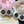 Vivienne Sunflower Plush Toy