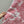 CD Dress Pink Viscose Polyester