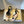 YSL 26ss Pointed Toe High Heeled Mules 75 Sheepskin