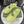 GG Sandals with Double G Light Yellow Sliver TPU 818208