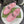 GG Sandals with Double G Light Pink Sliver TPU 818204