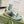 GG 26ss Screener Sneaker Beige Blue Green Cowhide 697181