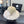CC Bow-tie Beige Cream Bucket Hat 269014