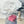 CC 26s Flap Bag 20cm Pink Quilted Leather Rainbow Buckle