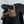CC 2026 Flap Bag with Top Handle 19CM Gum-grain Cowhide