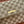GG 2026 Madison Bag 31cm Sand mix Brown Canvas Leather