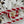 CC 26s Classic 11.12 Bag 25.5cm White Red Woven Leather
