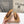 Miumiu 26ss Thong Sandals Suede Cowhide 713100