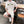 GC 2026 Men Set White Pure Cotton 645315