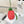 Loew Raffia Calfskin Strawberry Charm