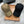 CD Oblique Hat Cotton 262225