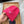 BEANIIE HAT IN BRIGHT PINK WOOL 335037