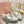 Miu 2026 Drill Mary Jane Flats Canvas 922964