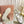Miu 2026 Drill Mary Jane Flats Canvas 922964